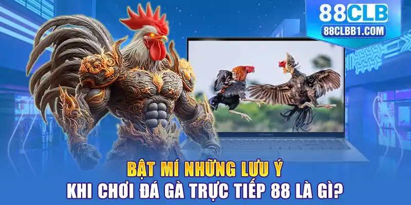 Bật mí những lưu ý khi chơi đá gà trực tiếp 88 là gì?