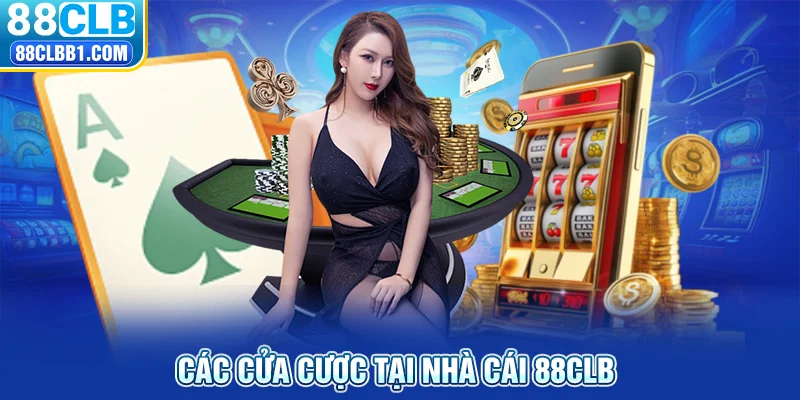 Các cửa cược khi tham gia cược Baccarat là gì?