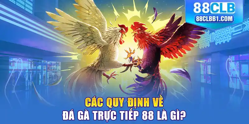 Các quy định về đá gà trực tiếp 88 là gì?