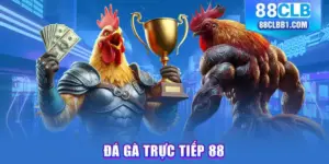 đá gà trực tiếp 88