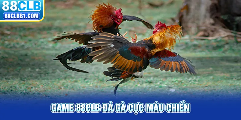 Game 88CLB đá gà cực máu chiến