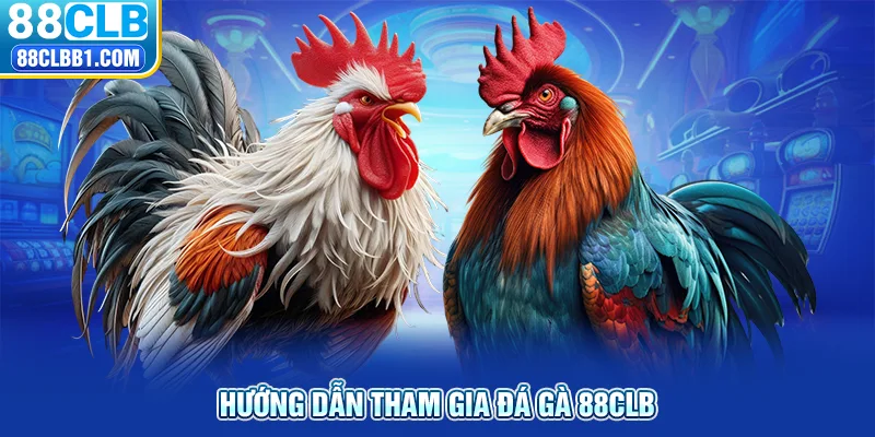 Hướng dẫn tham gia đá gà 88CLB