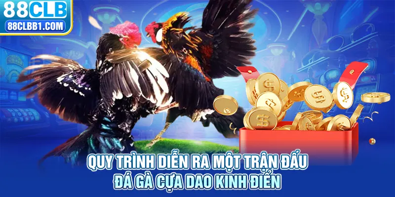 Quy trình diễn ra một trận đấu đá gà cựa dao kinh điển